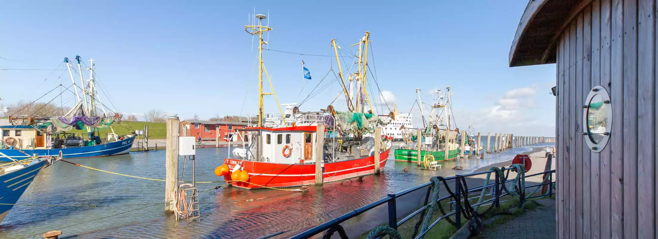 Blick von der Terrasse Hafen Pub zum Hafen mit Fischkuttern